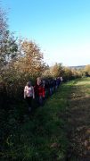 Bourg des comptes 20 Novembre 2022
