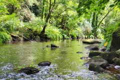 Fouesnant-1-11