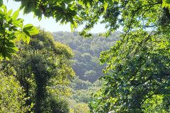 Fouesnant-1-8