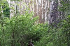 31_resultat