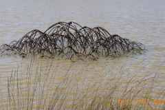 Image0022
